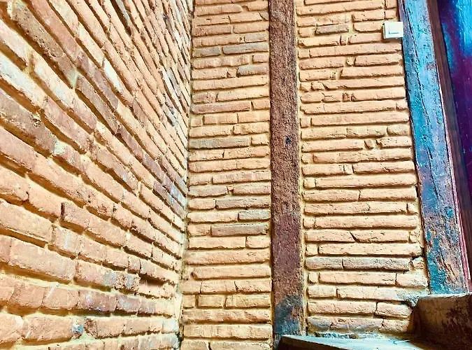 Des Carmes Διαμέρισμα Τουλούζη